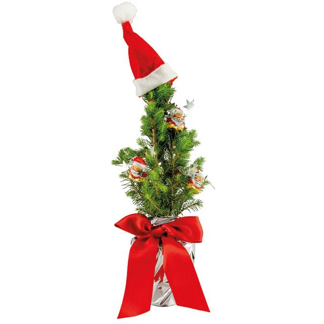 Nikolaus-B�umchen 20-30 cm